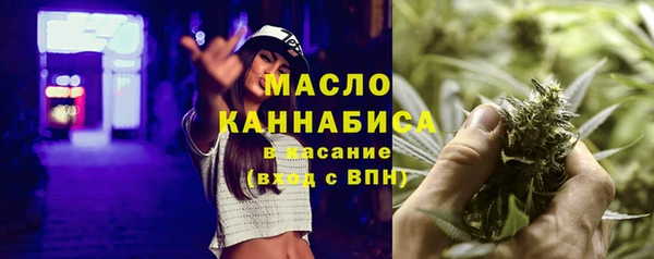 СК Алексин