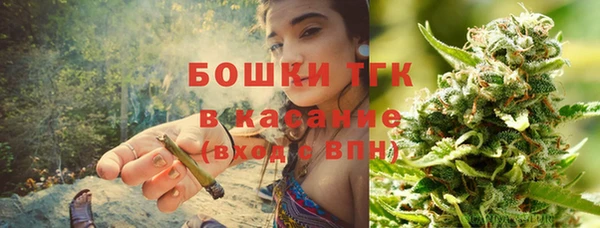 СК Алексин
