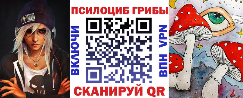 цена наркотик  блэк спрут ссылки  Псилоцибиновые грибы Psilocybine cubensis  Владимир 