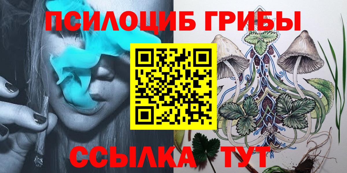 Псилоцибиновые грибы мицелий Владимир