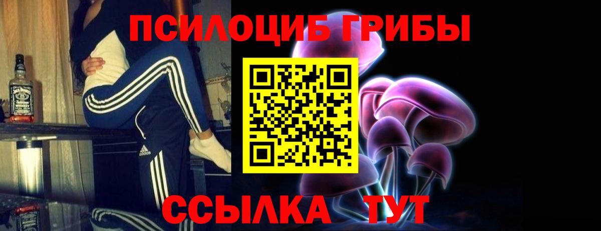 Псилоцибиновые грибы прущие грибы  Вход с VPN  Владимир 